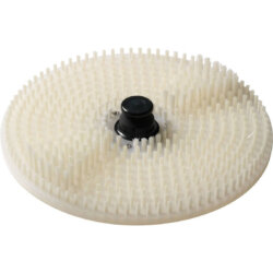 Professionelle Muschelwaschmaschine aus Edelstahl 5 kg LCF5 Fimar Professionelle Muschelwaschmaschine aus Edelstahl 5 kg LCF5 Fimar