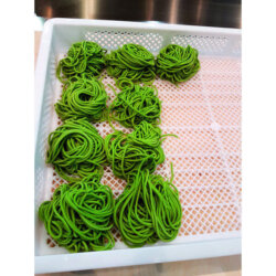 Edelstahl-Wagen für frische Pasta-Boxen für 8 Boxen 60x40 cm Forcar CARPF Edelstahl-Wagen für frische Pasta-Boxen für 8 Boxen 60x40 cm Forcar CARPF