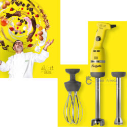 Professioneller Eintauchmischer 250 Watt Variable Geschwindigkeit mit Zubehör FRULLUOTTO Fama