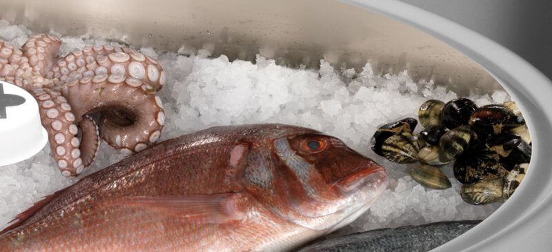 Island positive refrigerated display case +3/+10°C circular display with dome SCAIOLA EVO Island positive refrigerated display case +3/+10°C circular display with dome SCAIOLA EVO