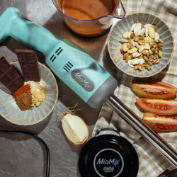 Profi-Tauchmixer mit Zubehörset Top Chef Variable Geschwindigkeit FAMA MIOMIX TOPCHEFTOP Profi-Tauchmixer mit Zubehörset Top Chef Variable Geschwindigkeit FAMA MIOMIX TOPCHEFTOP