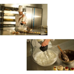 Mixer a Immersione Professionale 300/400/500 Watt Velocità Variabile Serie Light Fama FM300VV FM400VV FM500VV Mixer a Immersione Professionale 300/400/500 Watt Velocità Variabile Serie Light Fama FM300VV FM400VV FM500VV